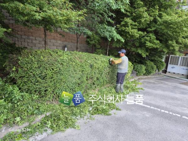 KakaoTalk_20250609_073533528_07.jpg